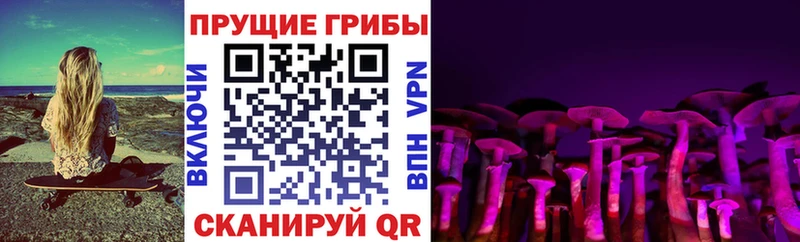 ссылка на мегу зеркало Малмыж Псилоцибиновые грибы Psilocybine cubensis